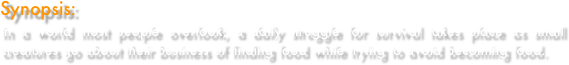 Synopsis:
In a world most people overlook, a daily struggle for survival takes place as small creatures go about their business of finding food while trying to avoid becoming food.